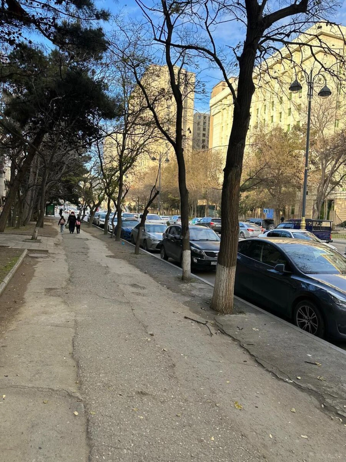 Satılır obyekt 81 m²