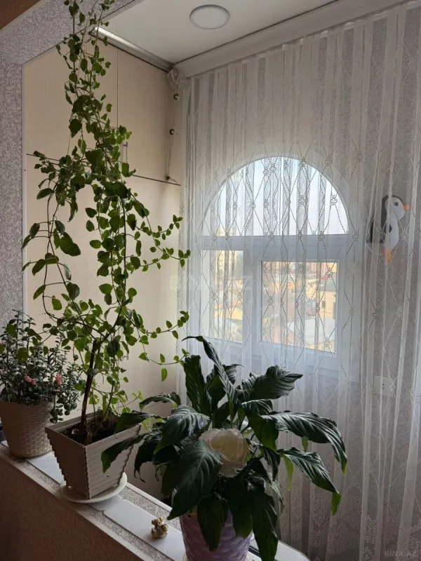Satılır 3 otaqlı mənzil 80 m²