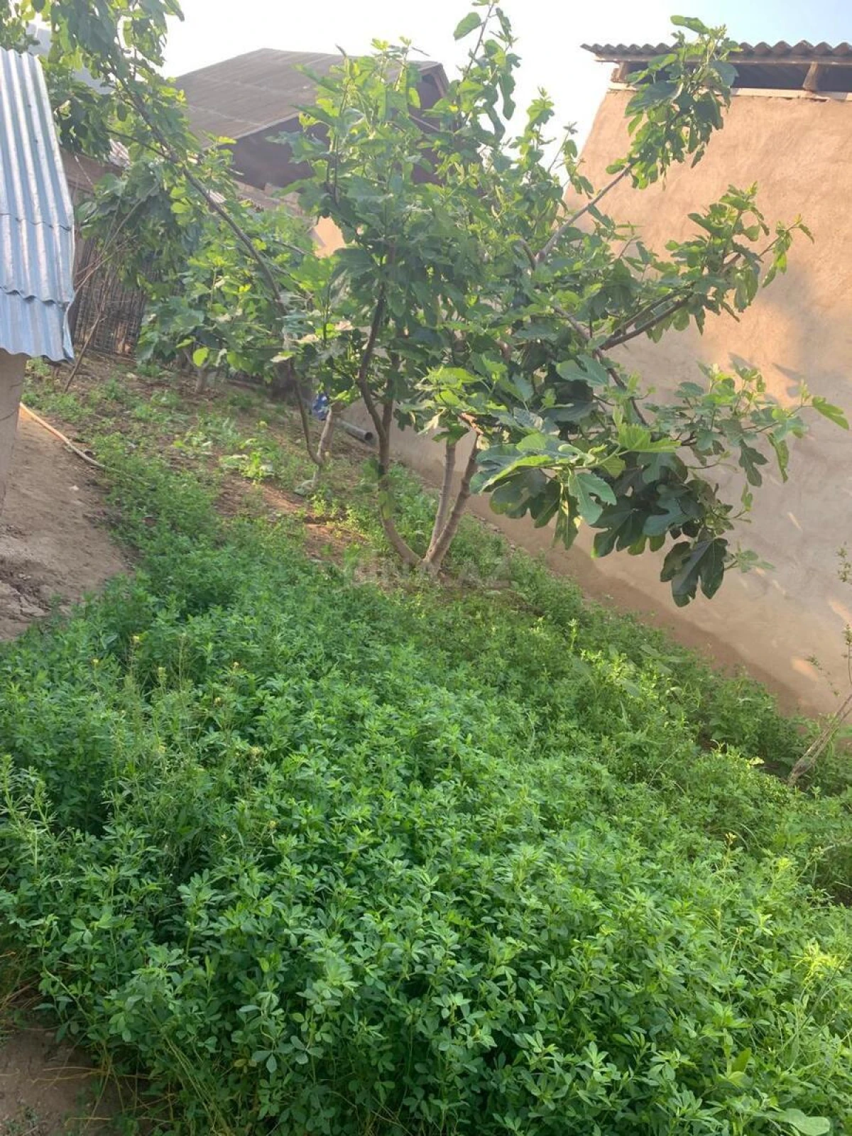 Satılır 5 otaqlı həyət evi 160 m²