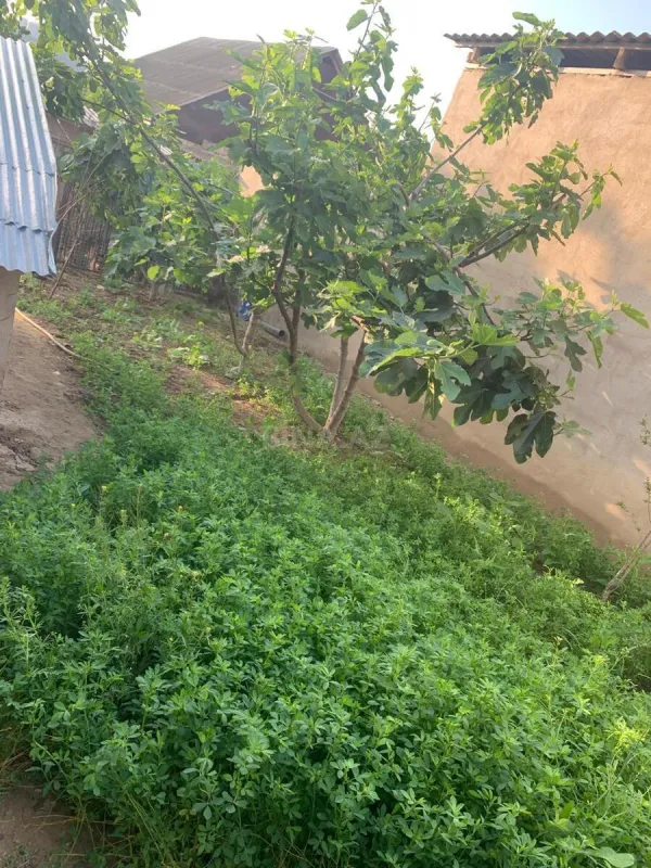 Satılır 5 otaqlı həyət evi 160 m²