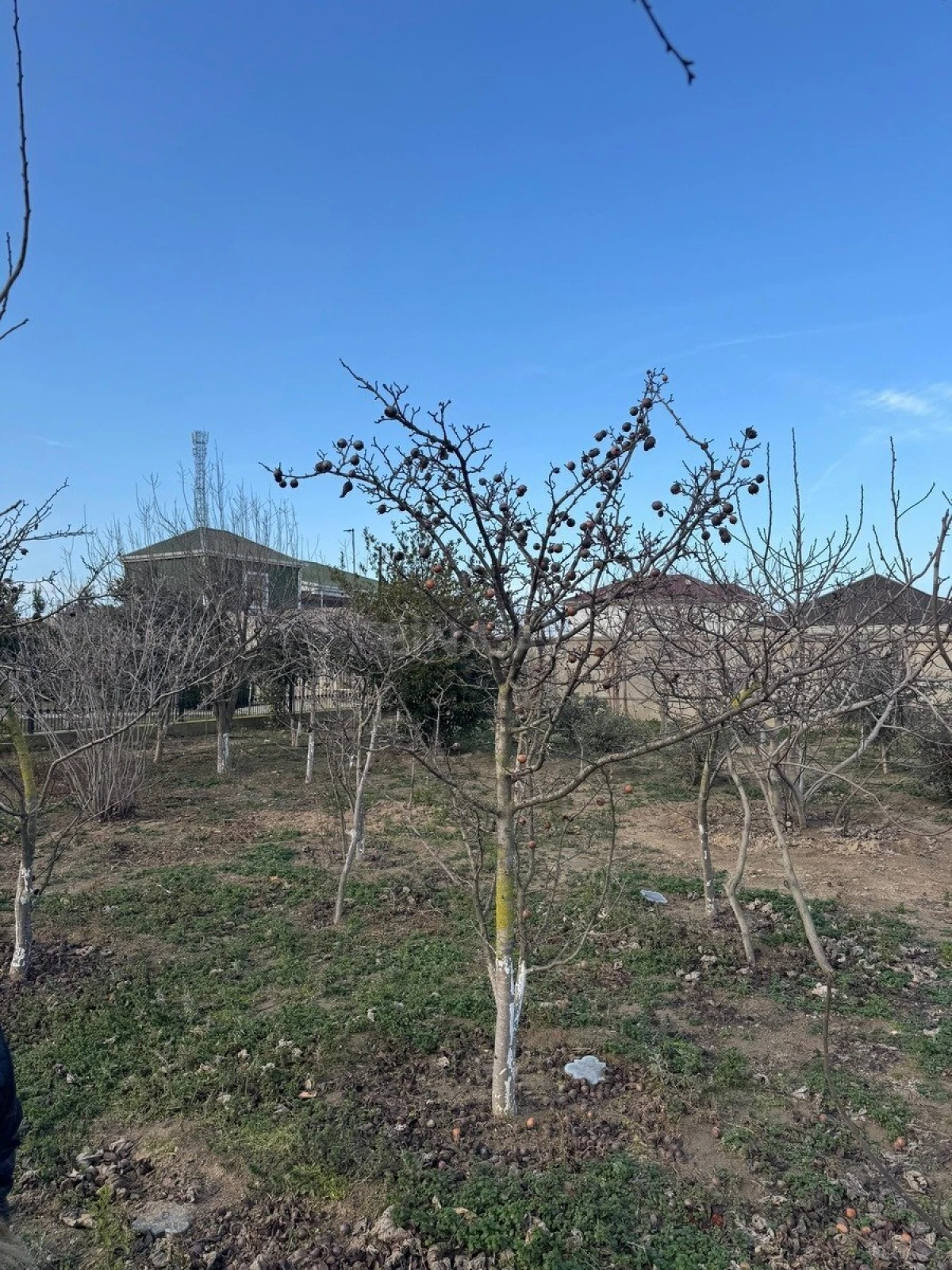 Satılır torpaq sahəsi 12 m²