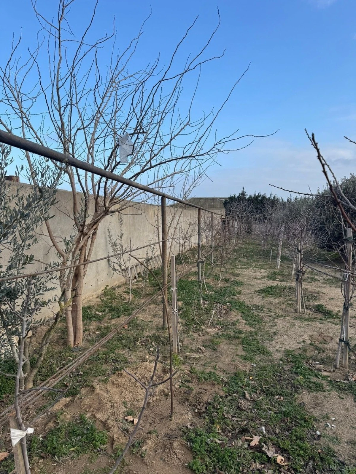 Satılır torpaq sahəsi 12 m²