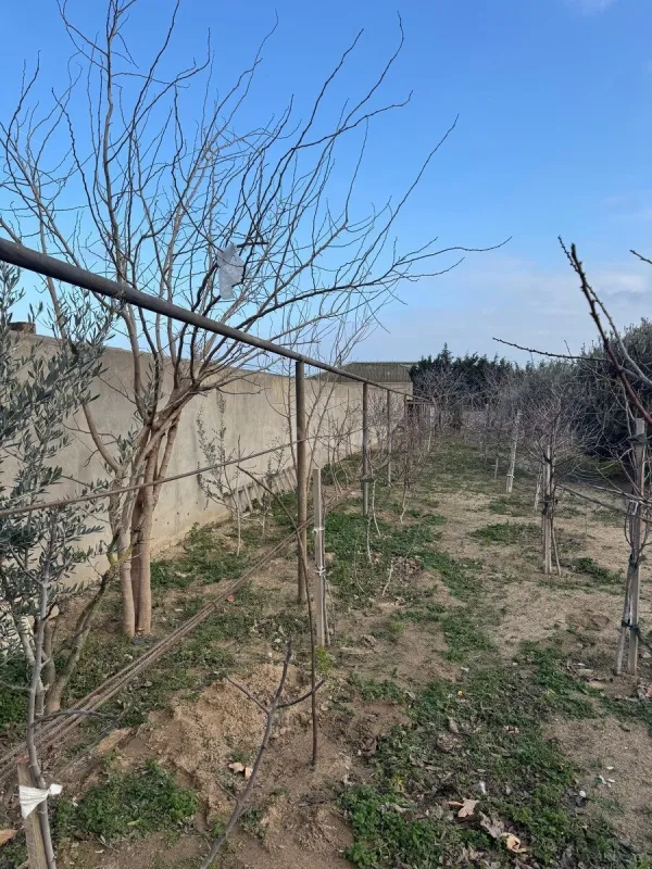 Satılır torpaq sahəsi 12 m²