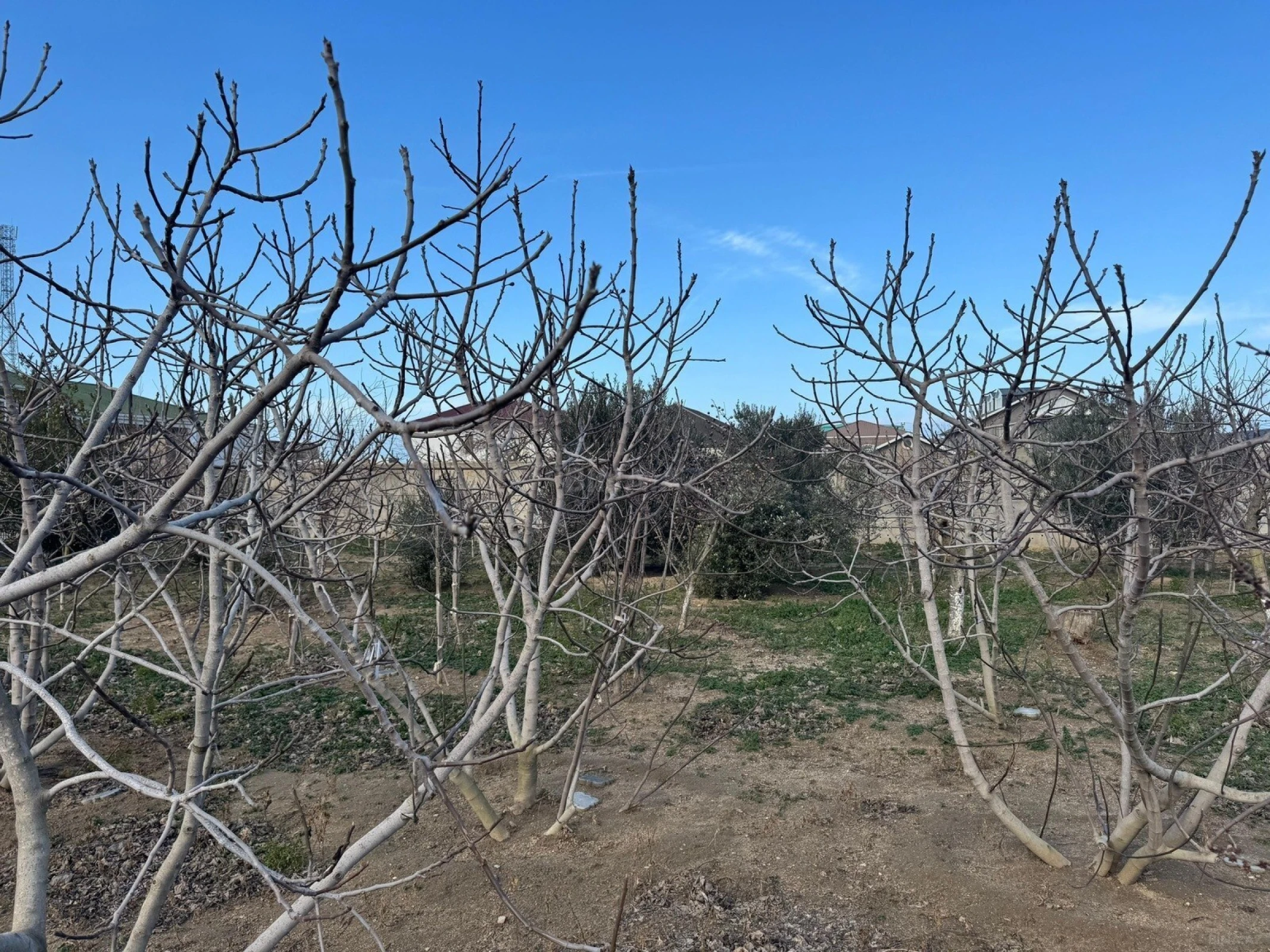 Satılır torpaq sahəsi 12 m²