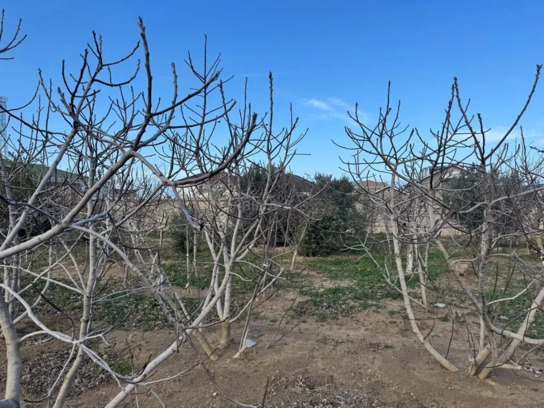 Satılır torpaq sahəsi 12 m²