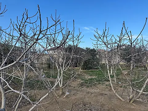 Satılır torpaq sahəsi 12 m²