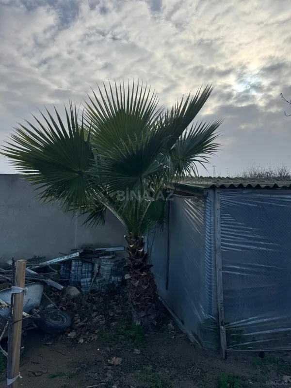 Satılır torpaq sahəsi 12 m²