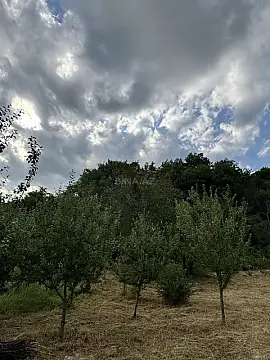 Satılır torpaq sahəsi 400 m²