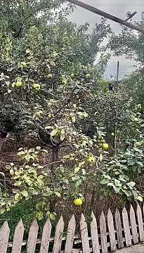 Satılır torpaq sahəsi 6 m²