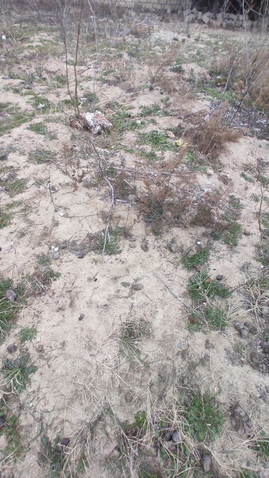 Satılır torpaq sahəsi 2 m²