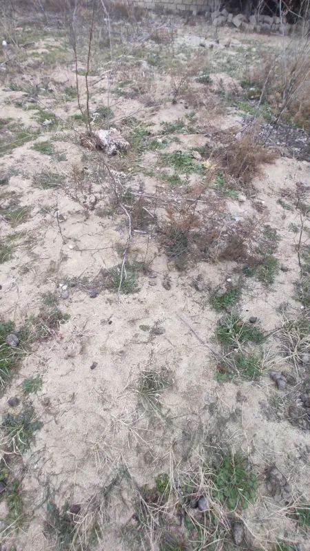 Satılır torpaq sahəsi 2 m²