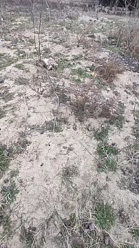 Satılır torpaq sahəsi 2 m²