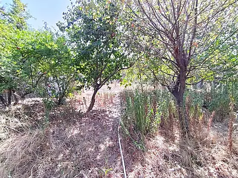 Satılır torpaq sahəsi 17 m²