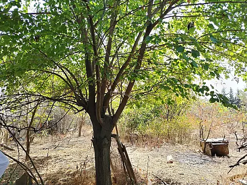 Satılır torpaq sahəsi 17 m²