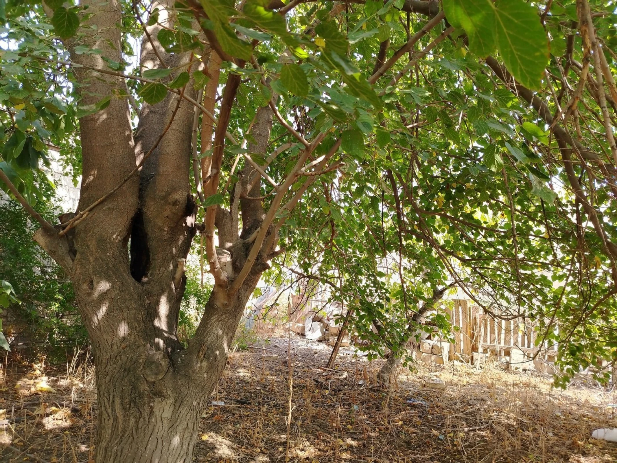 Satılır torpaq sahəsi 17 m²