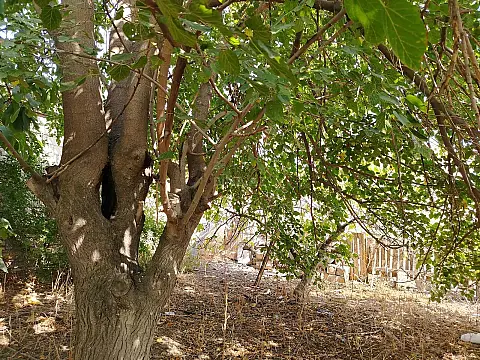 Satılır torpaq sahəsi 17 m²