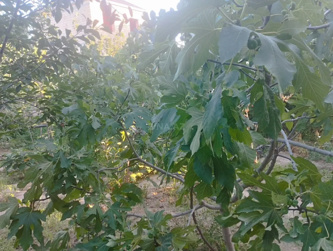 Satılır 6 otaqlı həyət evi 240 m²