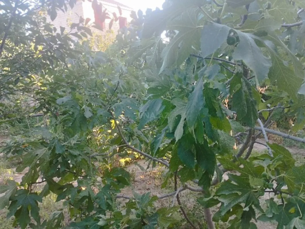 Satılır 6 otaqlı həyət evi 240 m²