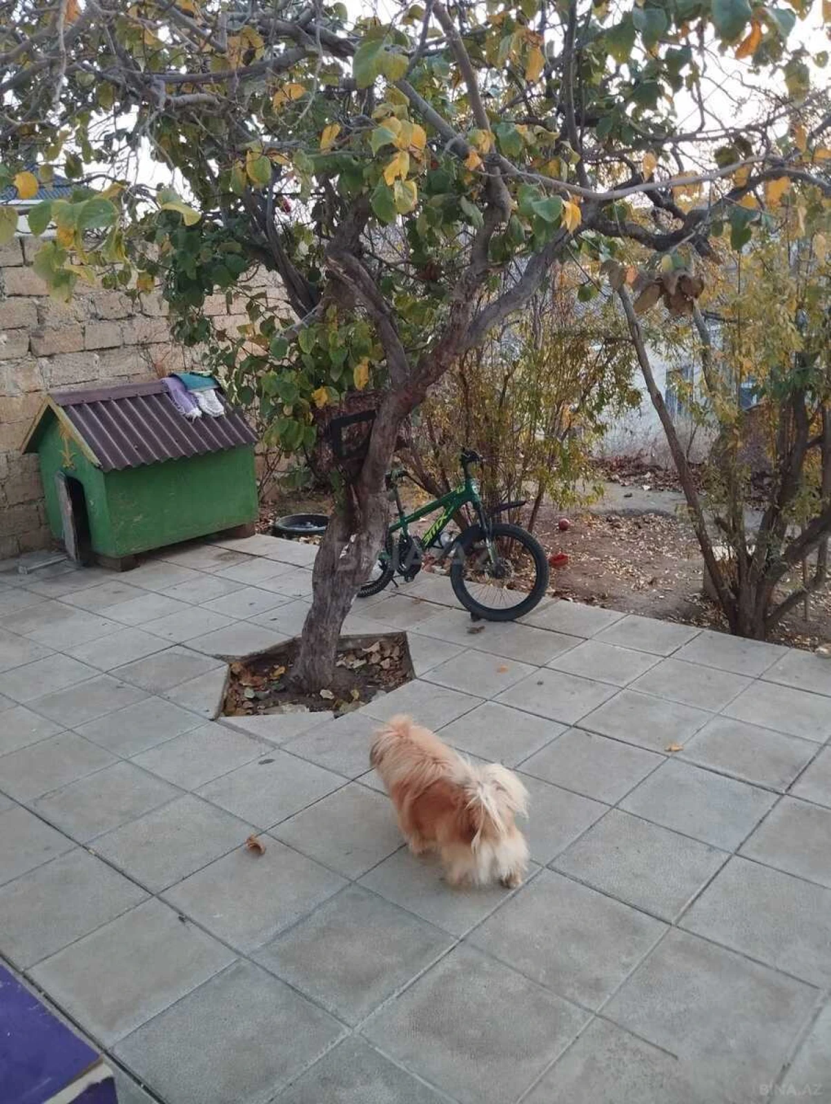 Satılır 2 otaqlı həyət evi 80 m²