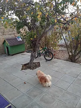 Satılır 2 otaqlı həyət evi 80 m²