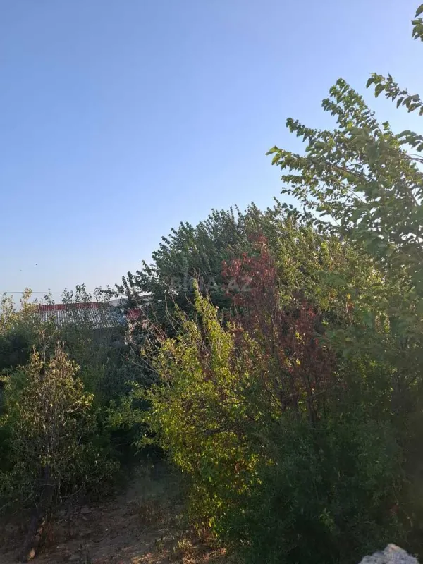 Satılır 7 otaqlı həyət evi 290 m²