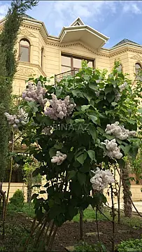 Satılır 5 otaqlı həyət evi 800 m²