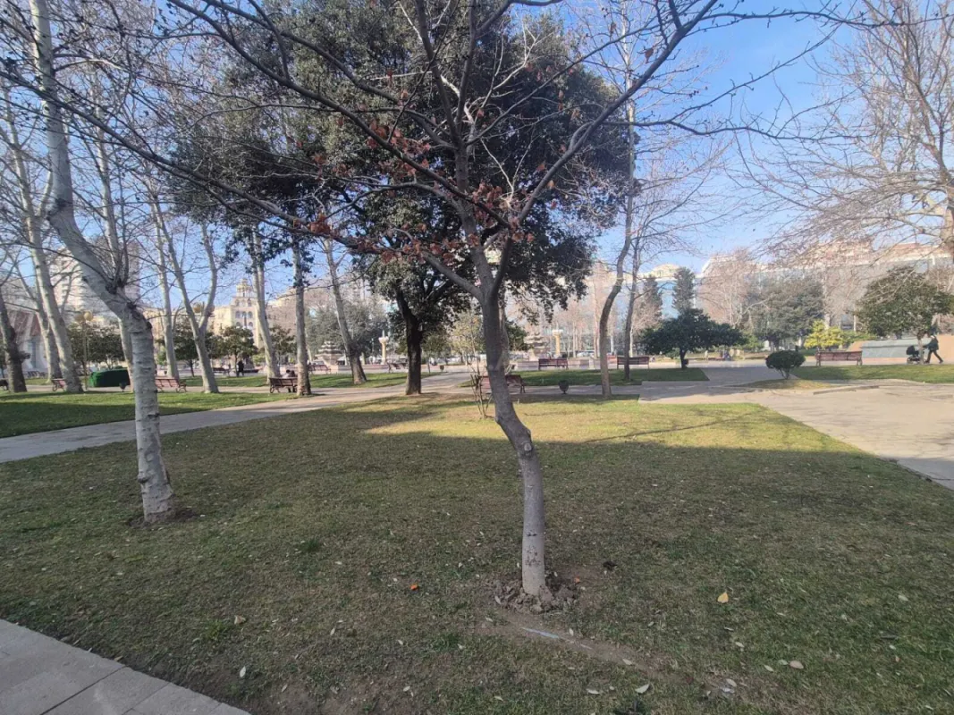 Satılır obyekt 29 m²