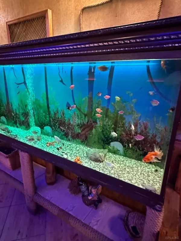 Satılır obyekt 600 m²