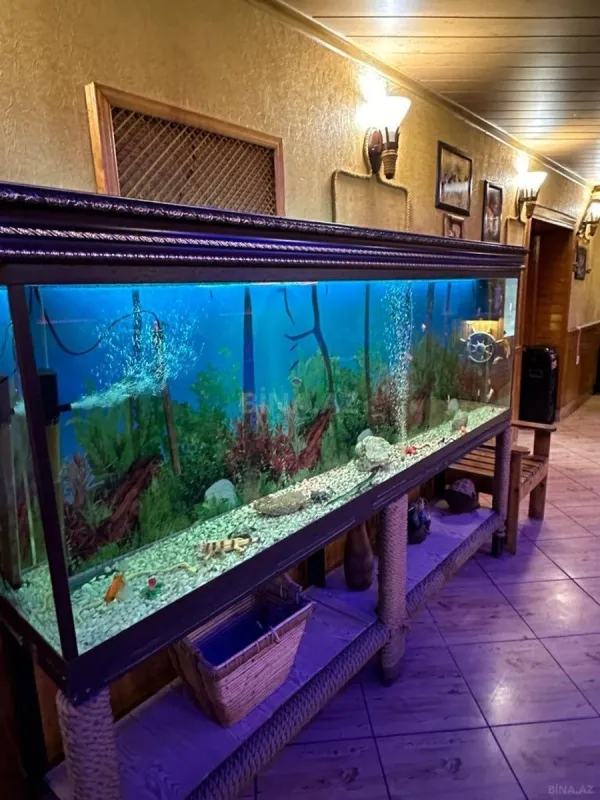 Satılır obyekt 600 m²