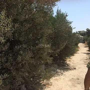 Satılır torpaq sahəsi 6 m²