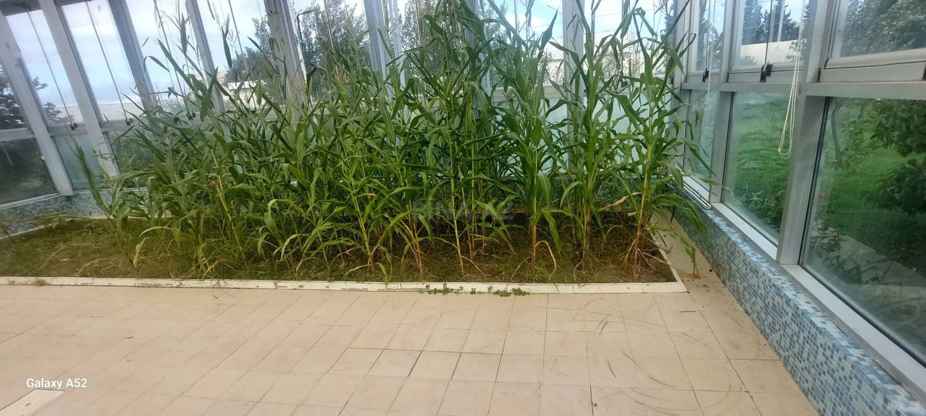 Satılır 12 otaqlı həyət evi 400 m²