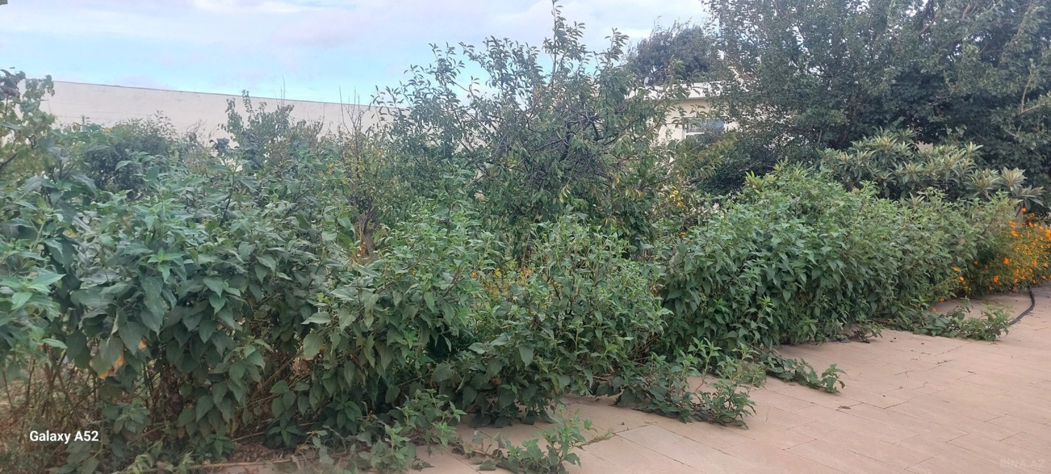 Satılır 12 otaqlı həyət evi 400 m²