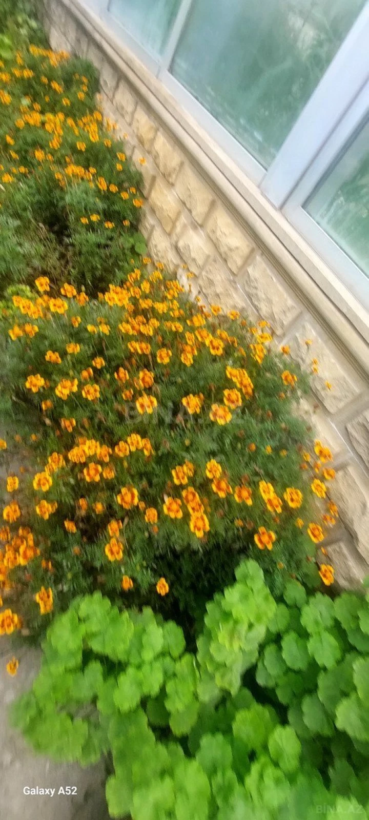 Satılır 12 otaqlı həyət evi 400 m²