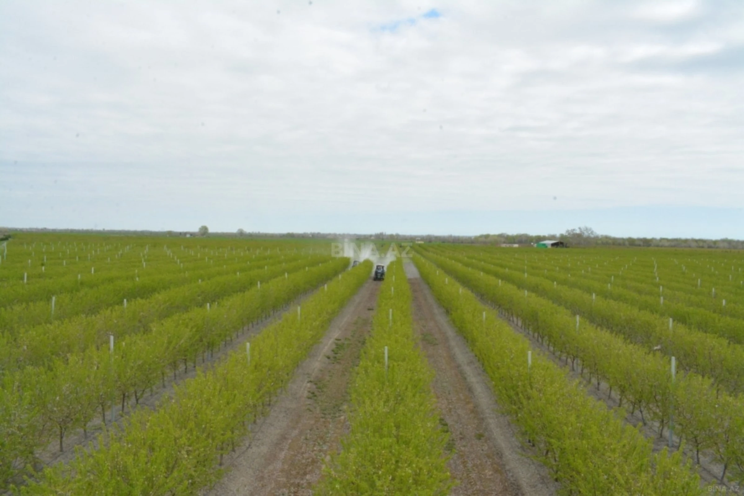 Satılır torpaq sahəsi 1300 m²