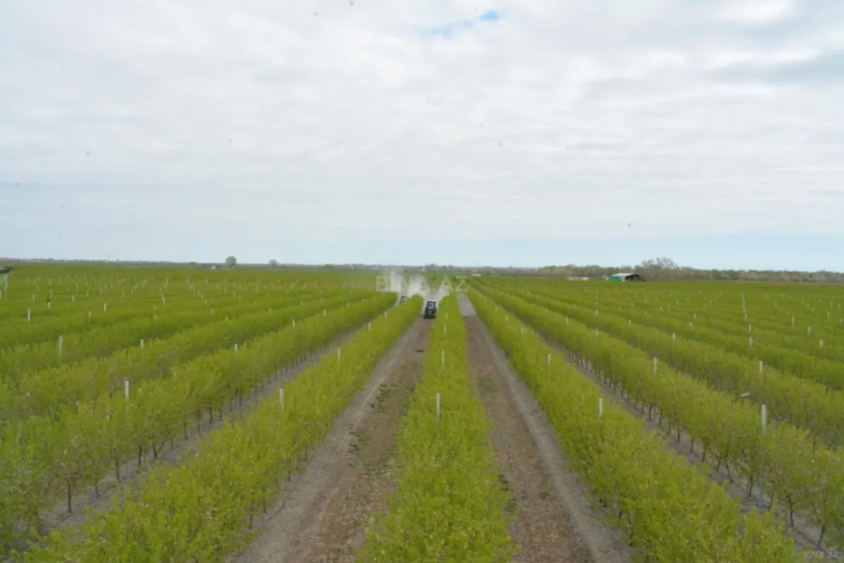 Satılır torpaq sahəsi 1300 m²