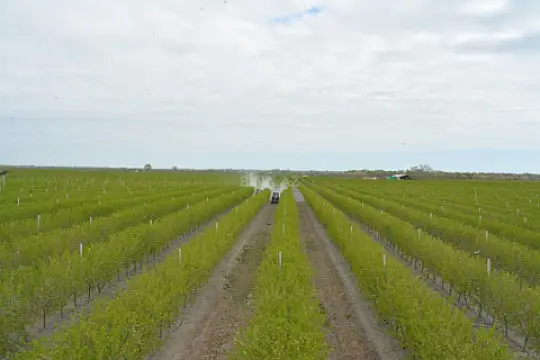 Satılır torpaq sahəsi 1300 m²