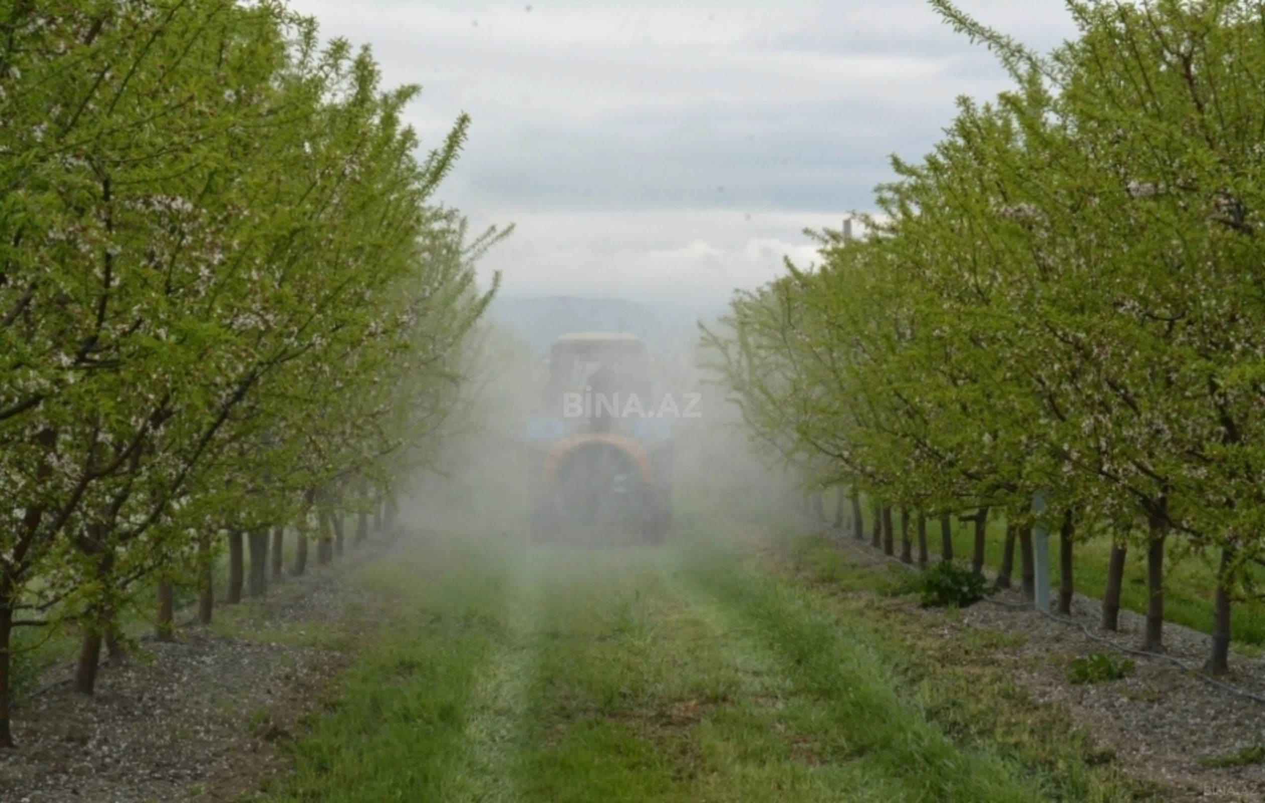 Satılır torpaq sahəsi 1300 m²