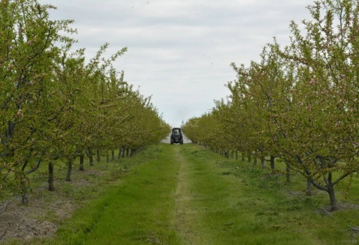 Satılır torpaq sahəsi 1300 m²
