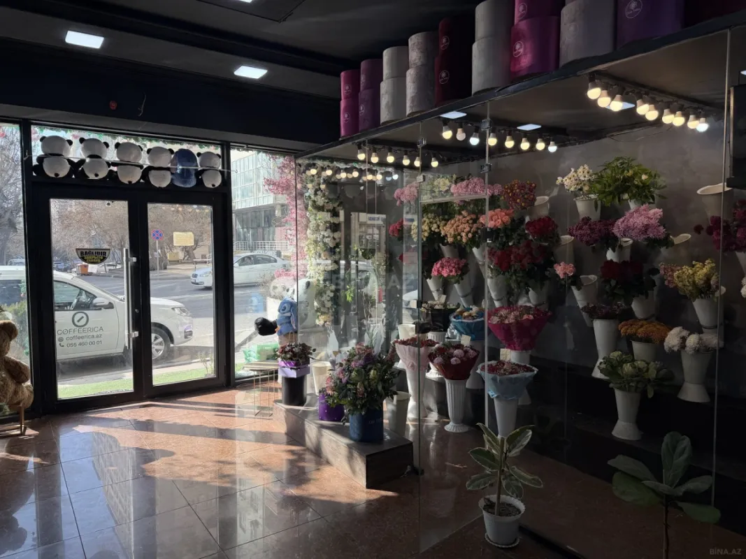 Satılır obyekt 113 m²