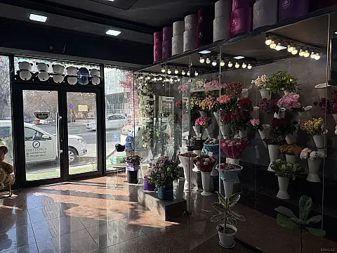 Satılır obyekt 113 m²