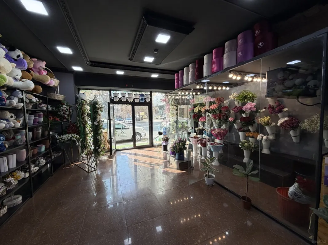 Satılır obyekt 113 m²