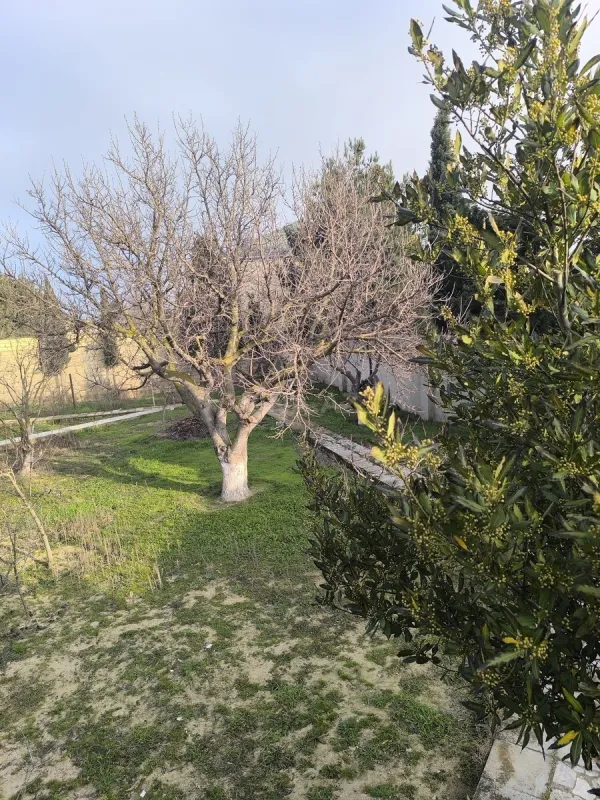 Satılır 5 otaqlı həyət evi 350 m²