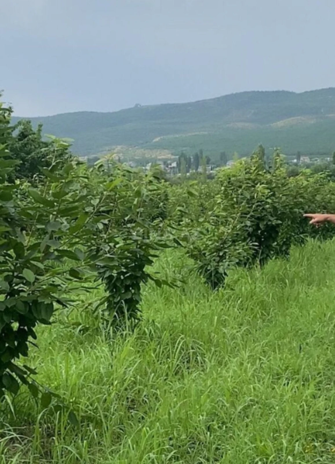 Satılır torpaq sahəsi 65 m²