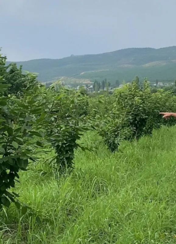 Satılır torpaq sahəsi 65 m²