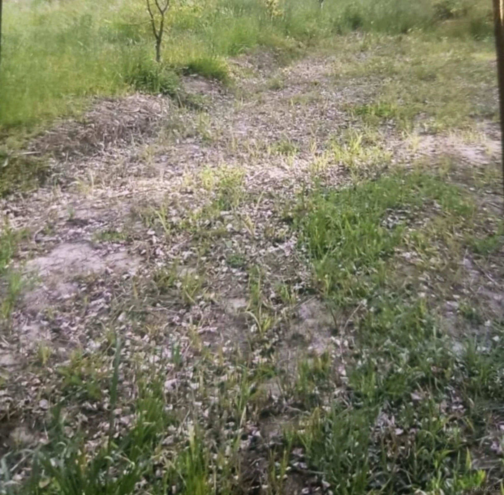 Satılır torpaq sahəsi 65 m²