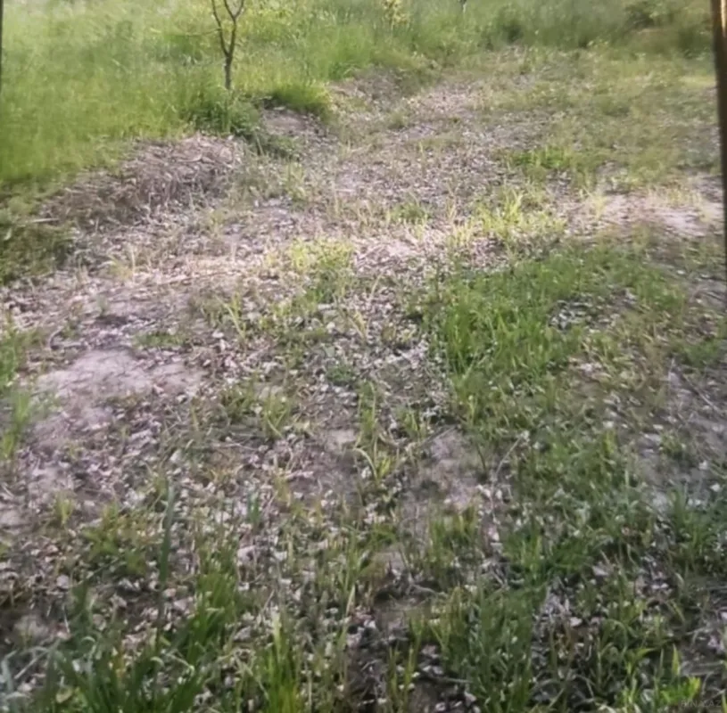 Satılır torpaq sahəsi 65 m²