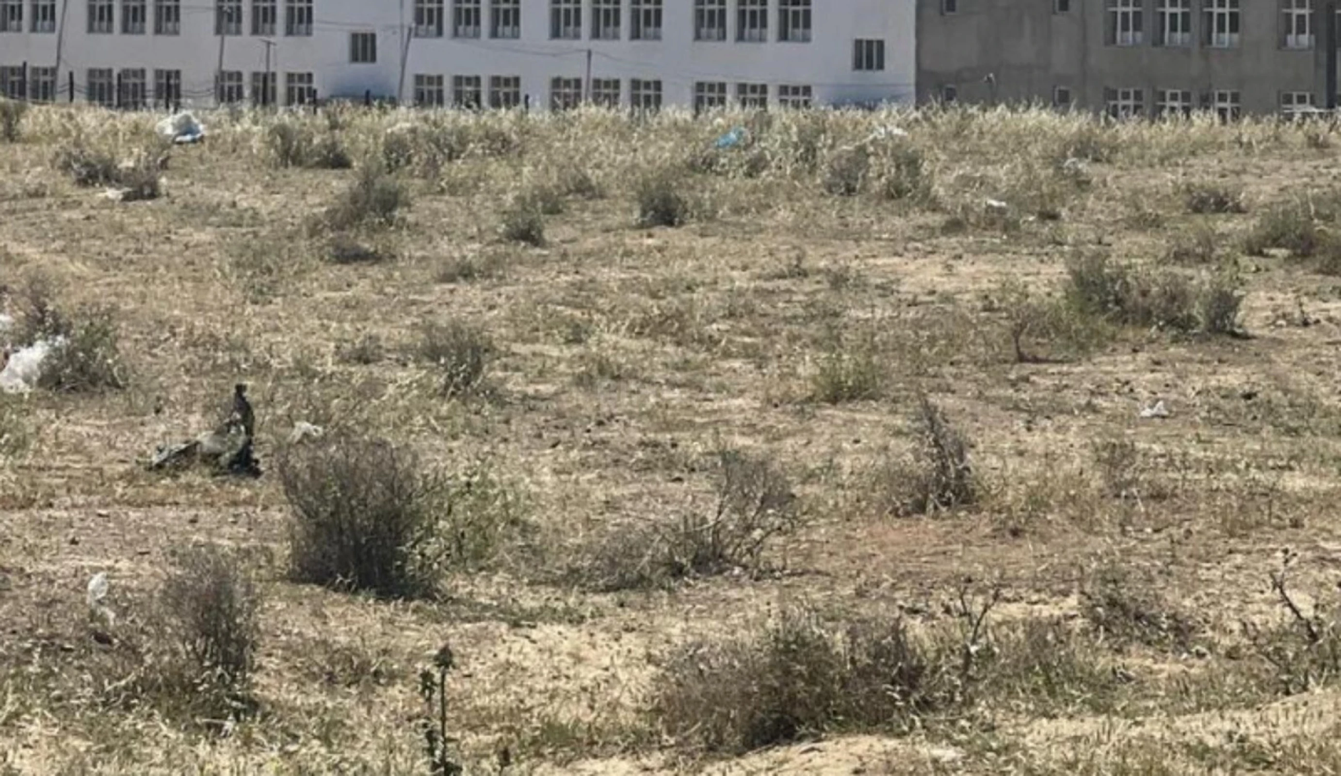 Satılır torpaq sahəsi 34 m²