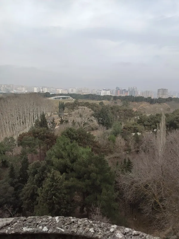 Satılır 4 otaqlı mənzil 172 m²