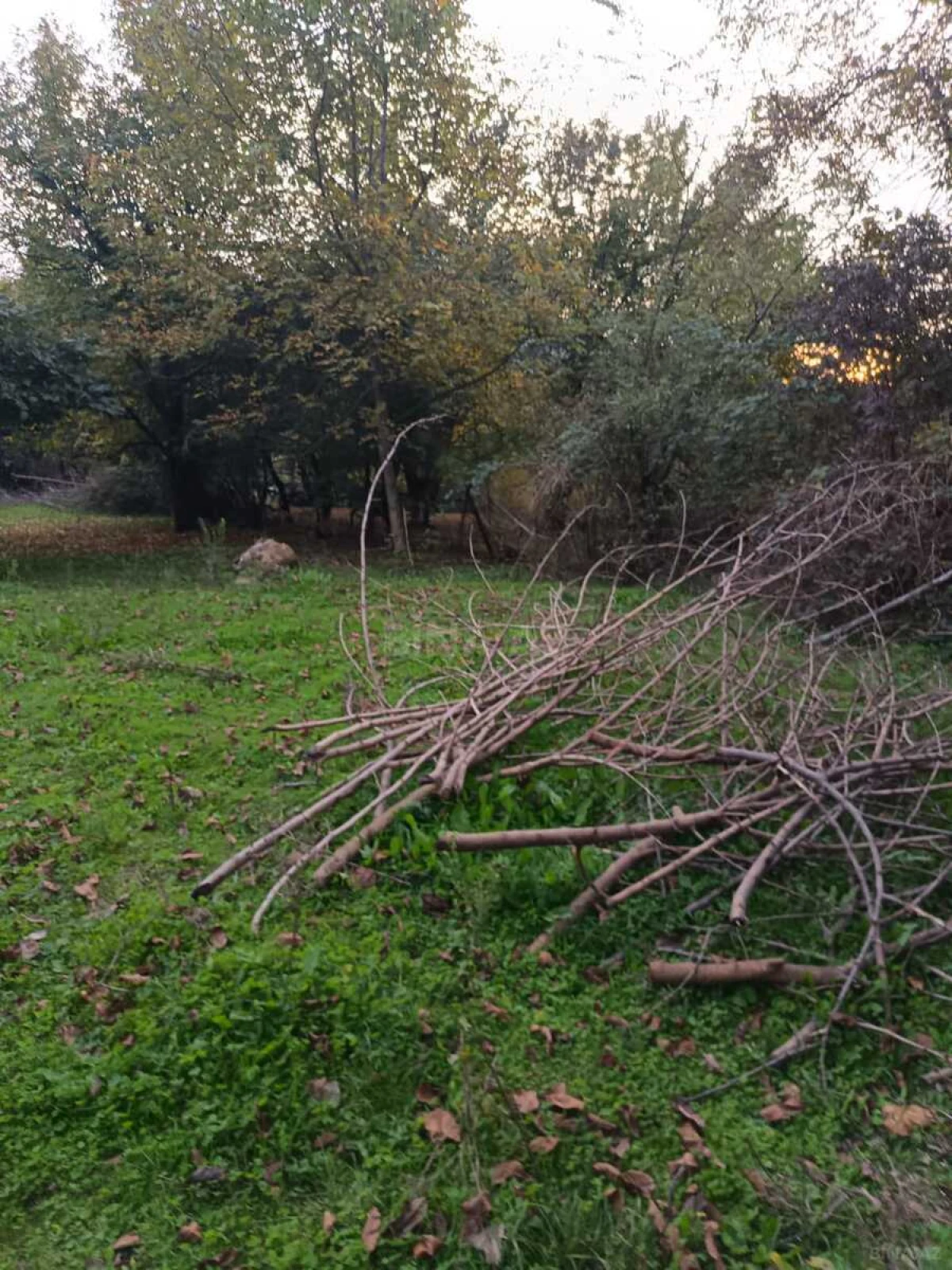 Satılır torpaq sahəsi 12 m²