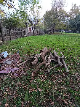 Satılır torpaq sahəsi 12 m² — Qəbələ 12.00 m²